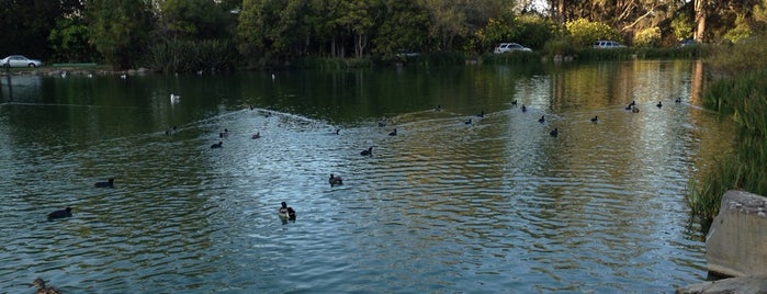 Stow Lake is one of Golden Gate Park Spots.