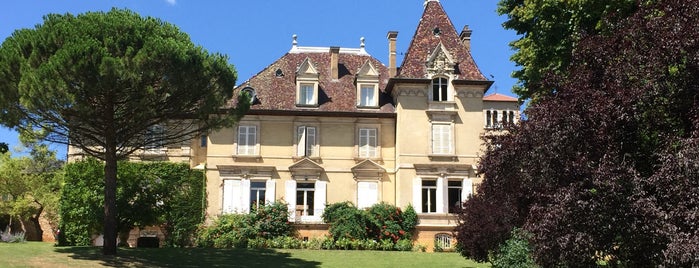 Beaujolais is one of Tempat yang Disukai Jane.