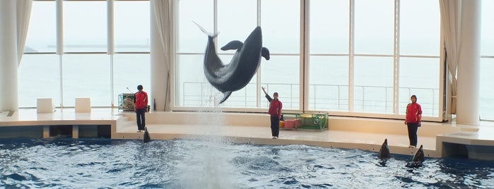 Aqua World Ibaraki Prefectural Oarai Aquarium is one of Masahiro'nun Beğendiği Mekanlar.