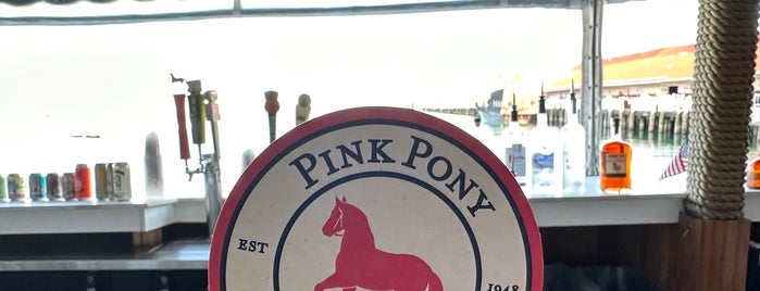 Pink Pony is one of Up North 2018.