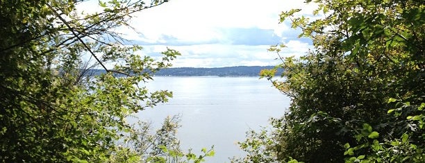 Discovery Park Bluff is one of Seattle Photography Locations.
