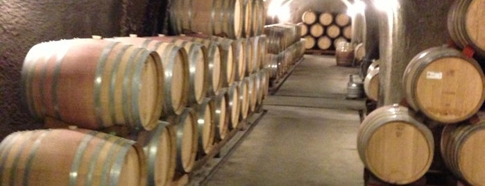 Robert Sinskey Vineyards is one of Napa/Sonoma Wineries.
