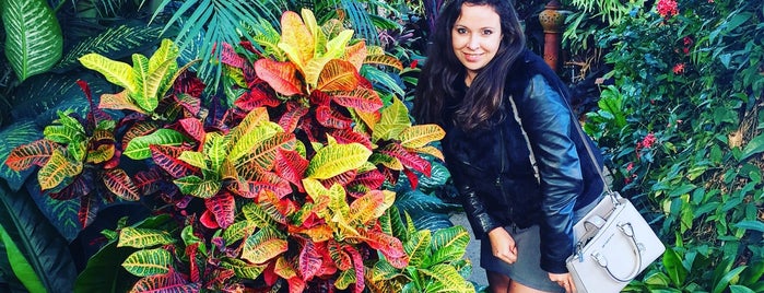 Conservatoire et Jardin Botaniques is one of Ksenia'nın Beğendiği Mekanlar.