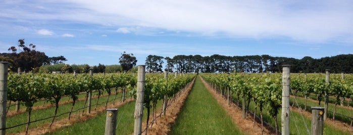 Oakdene Vineyard is one of OZ.