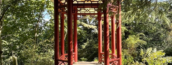 Asian Collections @ National Arboretum is one of The 15 Best Gardens in Washington.