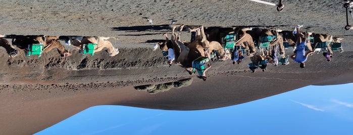 Echadero Camellos is one of Lugares favoritos de Rafael.