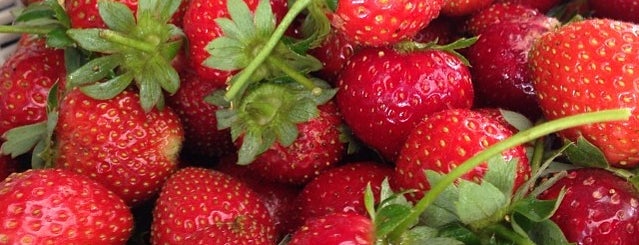 Bali Strawberry is one of Bali Favourites.
