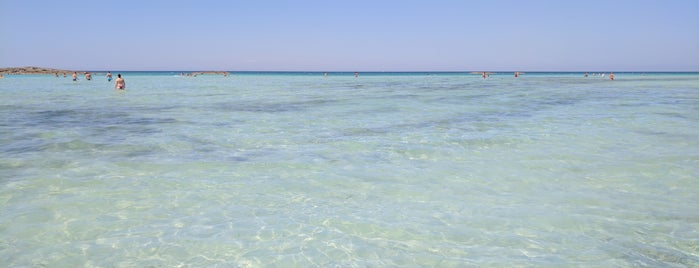 Lido Sabbioso is one of Spiagge Salento.