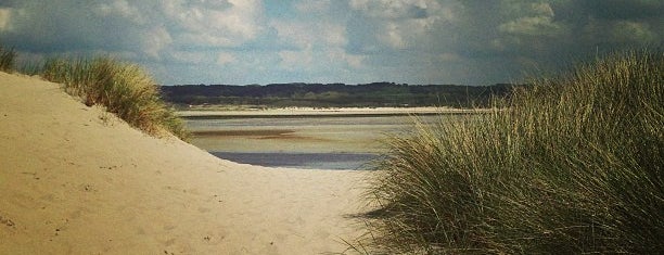 Le Paris Plage is one of Thomas’s Liked Places.