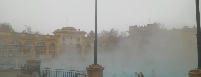 Széchenyi Thermal Bath is one of Fedor’s Liked Places.