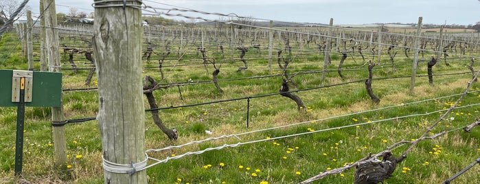 Palmer Vineyards is one of LI wineries.