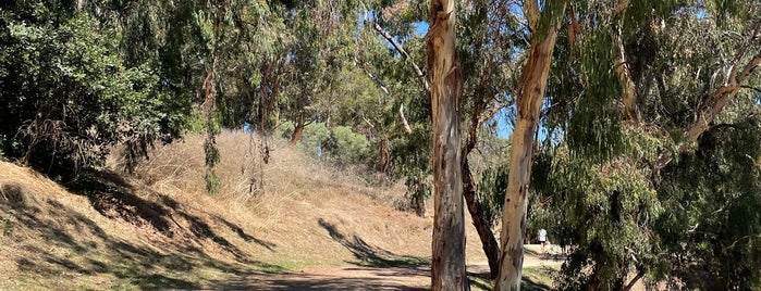 Elysian Park Trail is one of It Never rains in LA.