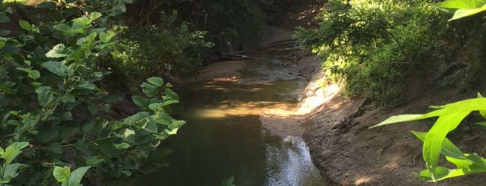 Town Lake Disc Golf Course is one of Disc Golf Courses.