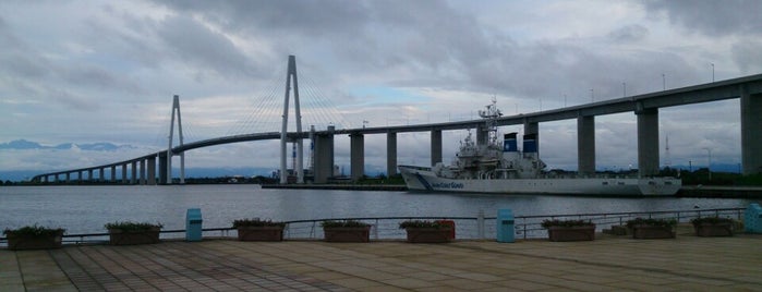 新湊大橋 is one of Bridges over Beautiful Waters.