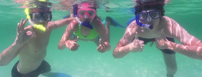 Destin Snorkel is one of Destin-Fort Walton Beach, FL.