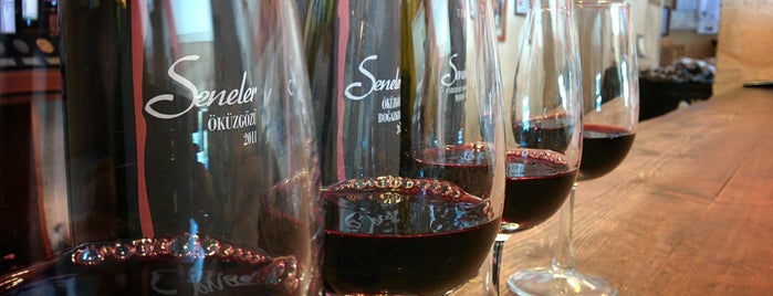 Turasan Şarap Fabrikası is one of Locais curtidos por Leonardo.