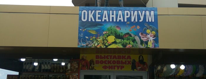 Океанариум is one of Анапа.