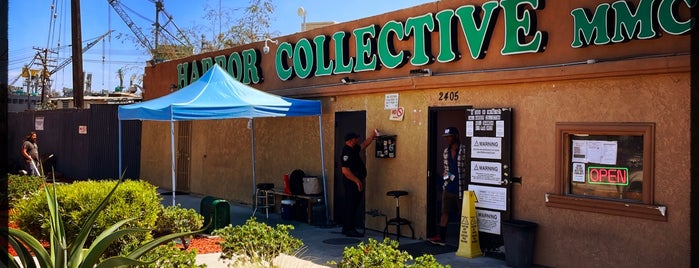 Harbor Collective is one of San Diego.