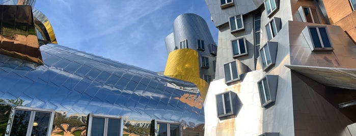 MIT Stata Center (Building 32) is one of Frank Gehry Architecture.