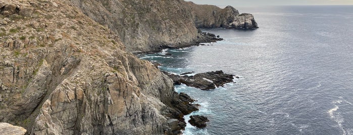 Punta Lobos is one of Todos Santos.