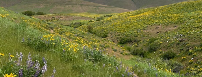 Dalles Mountain Ranch is one of Places to check explore.