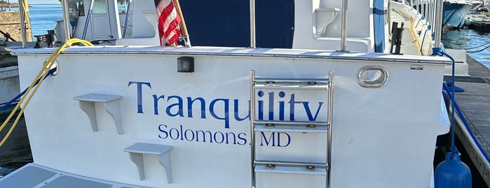 Solomons Yachting Center is one of Harbors or Marinas.