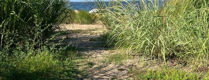 Point Lookout Lighthouse is one of Maryland.