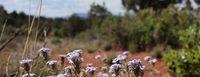 Sedona Views is one of Been Here.