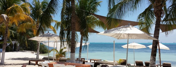 Zama Beach Club is one of Isla Mujeres.