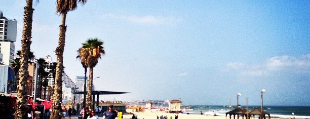 Gordon Beach is one of Tel Aviv Export.