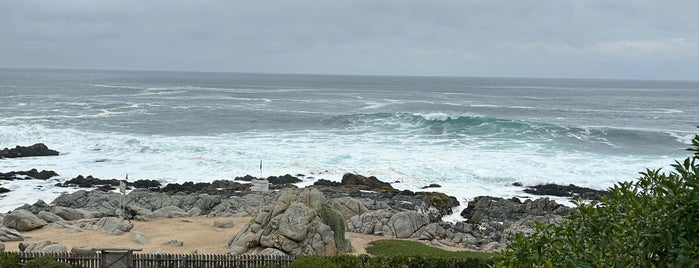Isla Negra is one of Chile Trip.