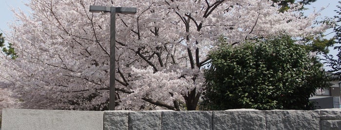 東京経済大学 国分寺キャンパス is one of 関東の訪問（通過）スポット.