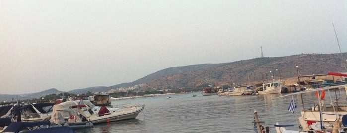 Port of Varkiza is one of Locais curtidos por Dimitris.