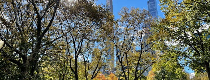 Central Park Small Loop is one of The 15 Best Hiking Trails in New York City.