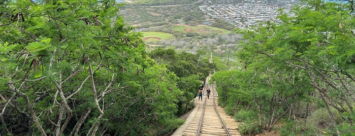 Koko Crater - Top Of The Stairs is one of Hikes Honolulu.