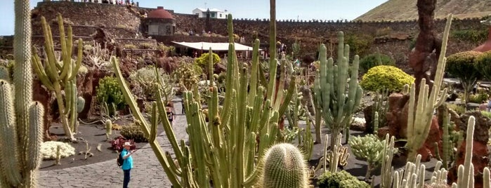 Jardin de Cactus is one of Lanzarote.