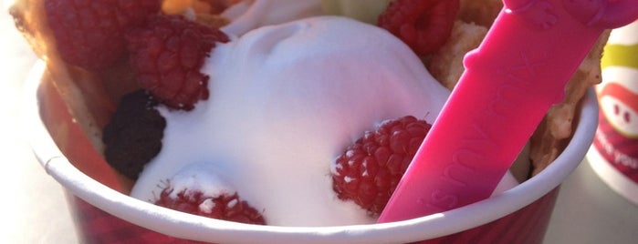 Menchie's Frozen Yogurt is one of Ice Cream Perfection.