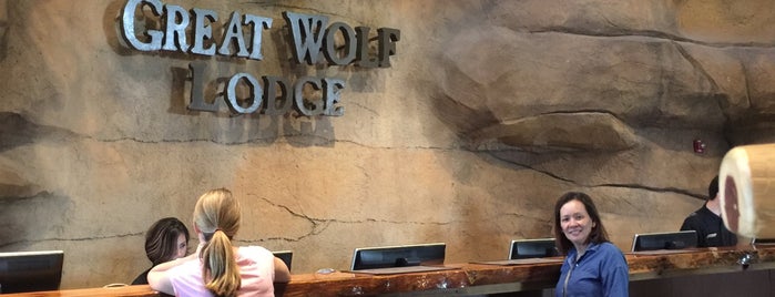 Great Wolf Lodge is one of Great family places in Dallas.