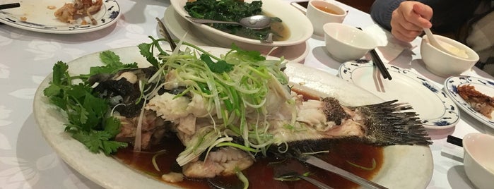 Maple Yip Seafood 陸羽海鮮酒家 is one of Hit list: Toronto.