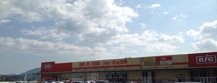 ザ・ビッグ 周東店 is one of Tempat yang Disukai ZN.