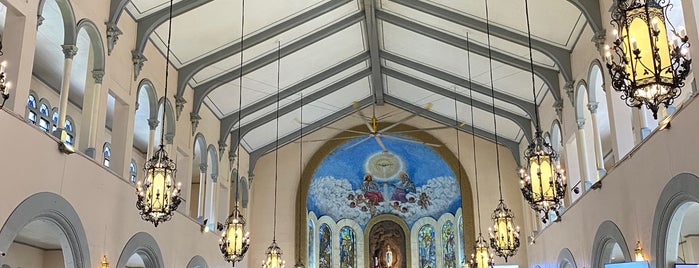 National Shrine of Our Lady of Lourdes is one of Diocese of Cubao.