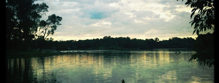 MacRitchie Reservoir is one of MY SINGAPORE //.