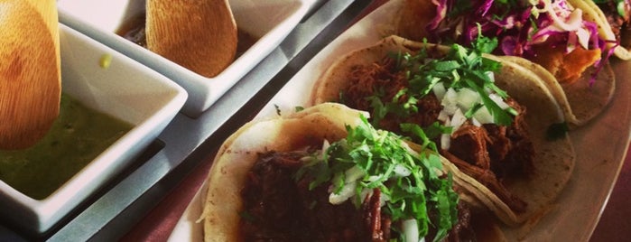 Tacolicious is one of SF favorites and places to try.