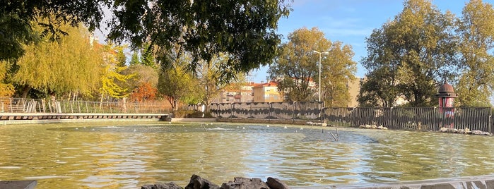 Parque dos Poetas is one of Parque&Jardim.