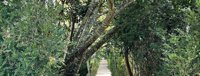 Jardins da Quinta Real de Caxias is one of Parque&Jardim.