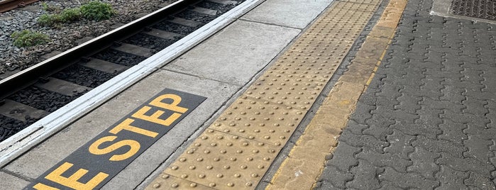 Platform 11 is one of Common Places.