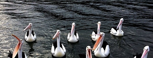 Lakes Entrance is one of Australia favorites by Jas.