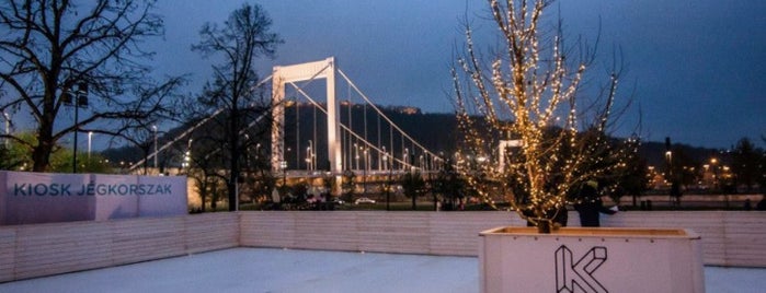 Best places to go ice skating in Budapest (2015)