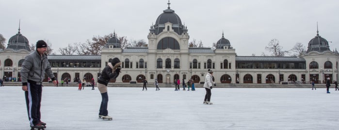 Városligeti Műjégpálya is one of Best places to go ice skating in Budapest (2015).
