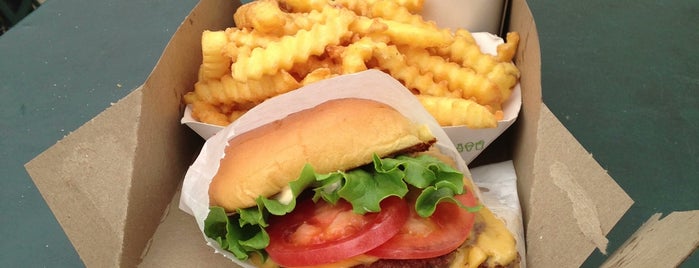 Shake Shack is one of NYC Highlights.